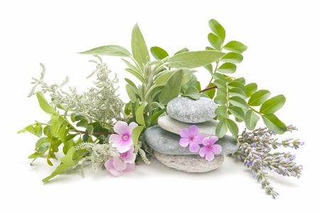 spa still life with perfumes and aromatic herbsの写真素材