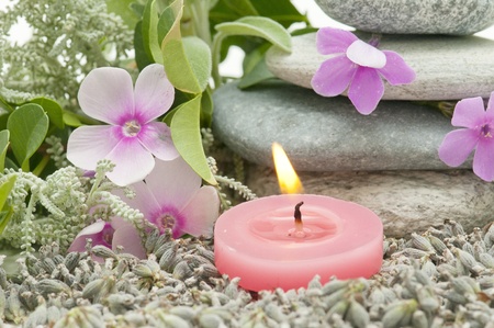 spa still life with perfumes and aromatic herbsの写真素材