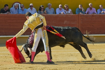 AVILA / SPAIN - JUNE 15: Fernando Adrian in action during a bullfight, typical Spanish tradition where a bullfighter kills a bull on June 15, 2013 in Avila, Spain.のeditorial素材