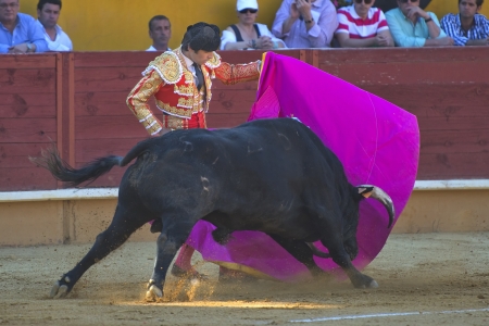 AVILA / SPAIN - JUNE 15: Miguel Angel Perera in action during a bullfight, typical Spanish tradition where a bullfighter kills a bull on June 15, 2013 in Avila, Spain.のeditorial素材