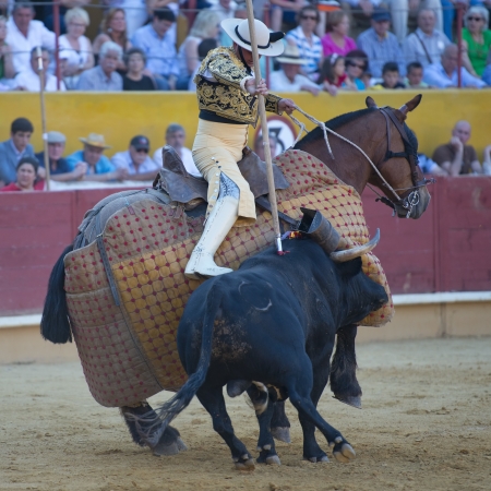 AVILA / SPAIN - JUNE 15: Unidentified. in action during a bullfight, typical Spanish tradition where a bullfighter kills a bull on June 15, 2013 in Avila, Spainのeditorial素材