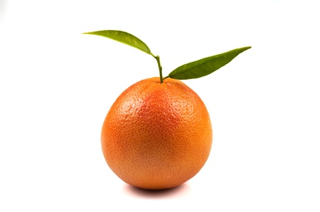 grapefruit on the white backgroundの写真素材