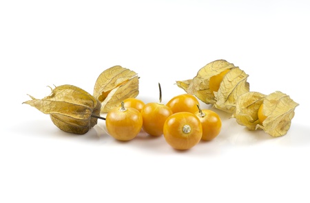 Physalis on the white backgroundの写真素材