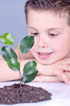  a child contemplating a plantの写真素材