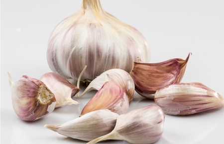 Natural Photography of garlic on white backgroundの写真素材