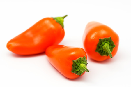 photography colorful peppers on white backgroundの写真素材