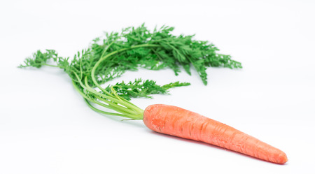 macro photography of carrots on white backgroundの写真素材