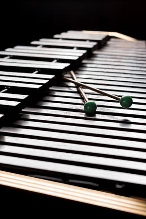 Xylophone with two mallets. Dark background. Close-upの写真素材