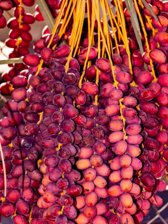 Close up of fresh red dates fruits on display at a market stallの写真素材
