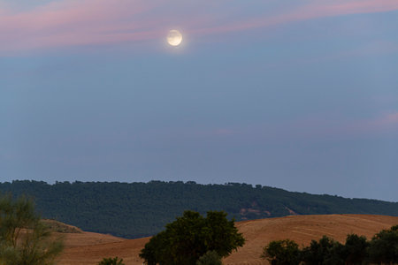 The moon rises above gentle hills, casting a serene glow amid pastel skies and dark tree silhouettes at twilight.の写真素材
