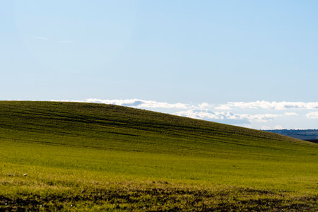 Expansive green field rises gently, showcasing a tranquil rural setting with a bright blue sky overhead.の写真素材