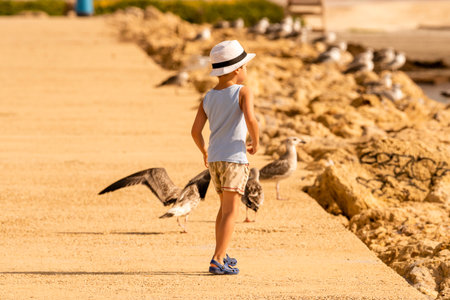 A young boy strolls down a seaside path, observing seagulls near the water on a bright, sunny day.の写真素材
