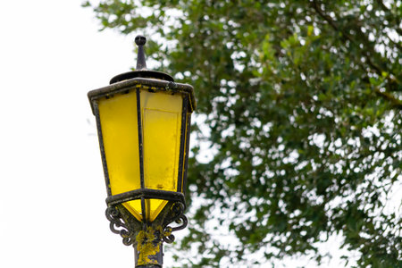 Vintage street lamp with yellow glass located in a park surrounded by lush green trees during...