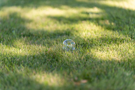 A delicate soap bubble sits quietly on lush green grass under soft sunlight, capturing the serene moment of nature.の写真素材