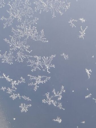 White ice flowers on the window with gray backgroundの写真素材