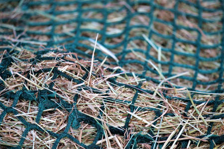 Close up of hay in a green hay netの写真素材