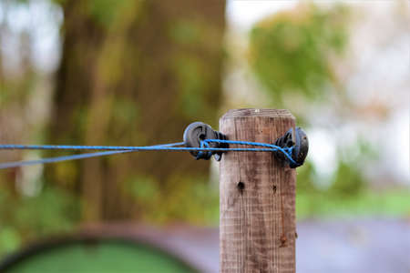 Close-up of a willow corner post with insulators and blue braid