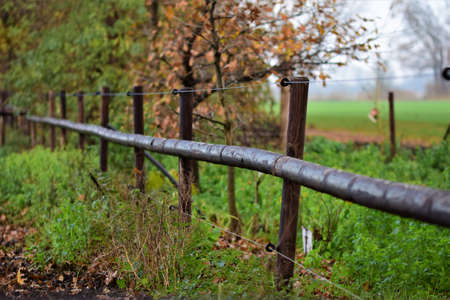 A pasture fence made of wooden slats and blue wireの写真素材