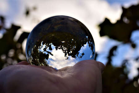 Sky and trees trough a lens ball on a hand against a blue sky and branches
