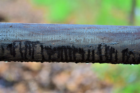 Close-up of a wooden black pasture fence against a blurred background