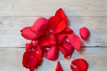 View from above on red rose petals on a textured beige backgroundの写真素材