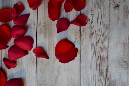View from above on red rose petals on a textured beige background with copy spaceの写真素材