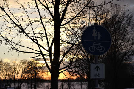 A beautyful sunset a tree and a blue traffic sign in the foregroundの写真素材