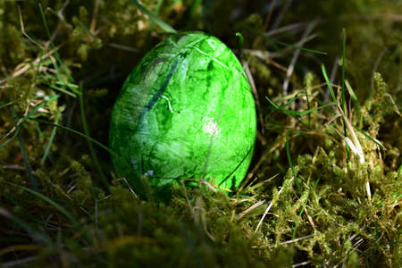 Green colored easteregg in the mossy grassの写真素材