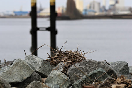 Close up of a stone pier in a harbor basinの写真素材