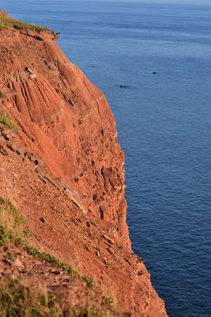 Red cliff at the costline in the evening sunの写真素材