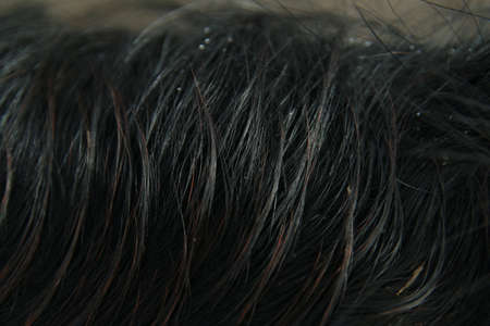 Close up of the mane of a black horseの写真素材