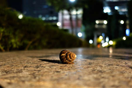One big housing screw on a pathway at night