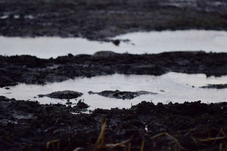 Big puddle on a paddock on a dreary day