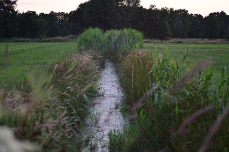 Little streamlet between meadows with greens at the side