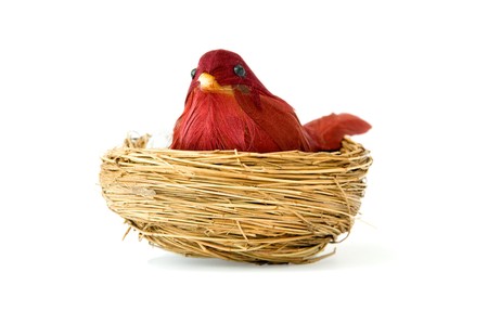 old bird toy and nest isolated over whiteの写真素材