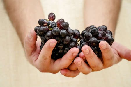 Wine juice straight from the producer of the natural and beautiful farm.の写真素材