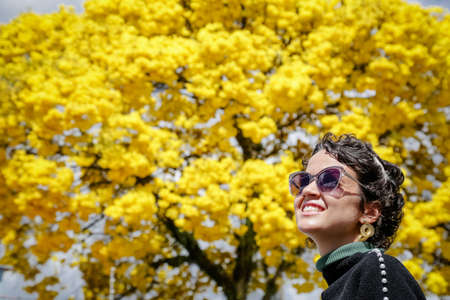 Beautiful yellow ipe in nature.の写真素材