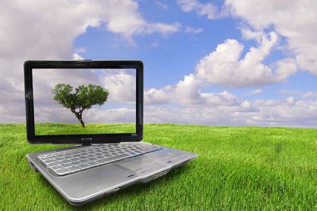 Notebook with tree isolated against the sky in a green fieldの写真素材