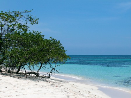 Idyllic tropical island in Bocas del toro, Panamaの写真素材