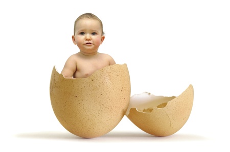 Beautiful baby inside an egg isolated in whiteの写真素材