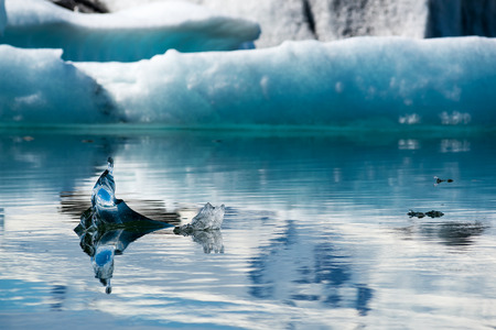 Reflections in Jokulsarlon lagoon, Iceland, in Juneの写真素材