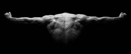 Muscular man's back in a dark backgroundの写真素材