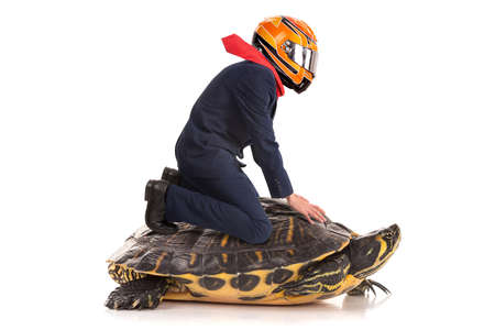 Businessman with helmet, riding a turtle isolated in a white backgroundの写真素材
