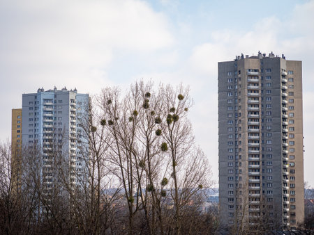 A long row of towering, tall buildings showcases impressive architecture, with lush trees situated...