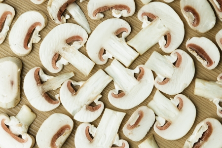 group of mushroomsの写真素材