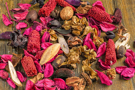 Dried Botanical Elements in Warm Tonesの写真素材