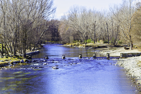 landscape with trees and a river in front