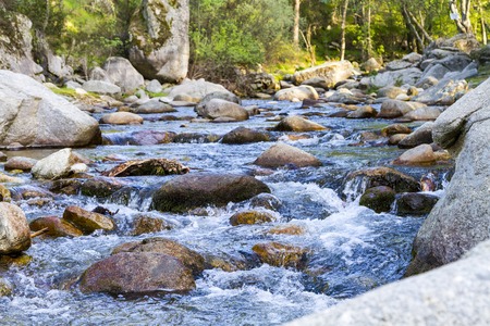 Landscape with river and stones and treesの写真素材