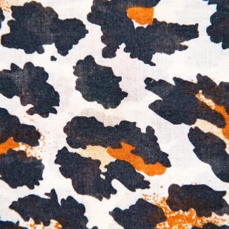 Background of texture animal. の写真素材