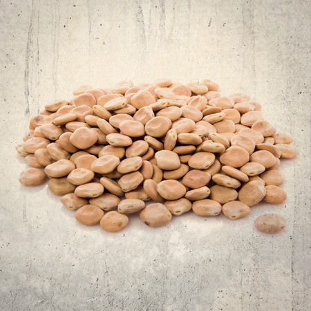 Dried lupinsの写真素材